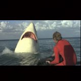 Posledný žralok (1981) - Peter Benton