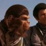 Battle for the Planet of the Apes (1973) - Bruce MacDonald