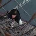 Hornblower - Rovná šance (1998) - Midshipman Horatio Hornblower