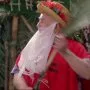 Christmas Vacation 2: Cousin Eddie's Island Adventure (2003) - Uncle Nick