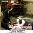 Chundelatý pes (2006) - Rebecca Douglas