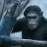 War for the Planet of the Apes (2017) - Caesar