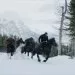 War for the Planet of the Apes (2017) - Rocket