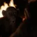 Vojna o planétu opíc (2017) - Bad Ape