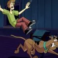 Scooby-Doo, ako sa máš? (2002-2006) - Shaggy