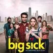The Big Sick (2017) - Naveed