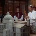 V službách pápeža (1964) - Bramante