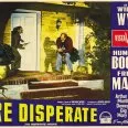 The Desperate Hours (1955) - Sam Kobish