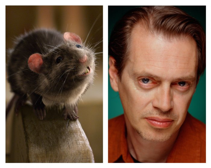 Steve Buscemi (Templeton the Rat) zdroj: imdb.com