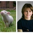 Šarlotina pavučinka (2006) - Wilbur The Spring Pig