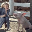 Šarlotina pavučinka (2006) - Wilbur The Spring Pig