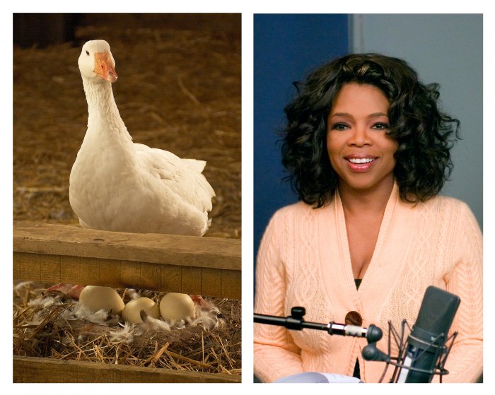 Oprah Winfrey (Gussy the Female Goose) zdroj: imdb.com