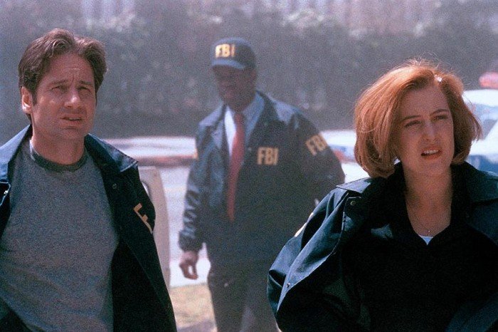 David Duchovny (Agent Fox Mulder)