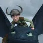Dragons: Gift of the Night Fury (2011) - Hiccup Horrendous Haddock III