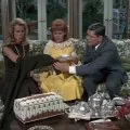 Bewitched (1964-1972) - Darrin Stephens