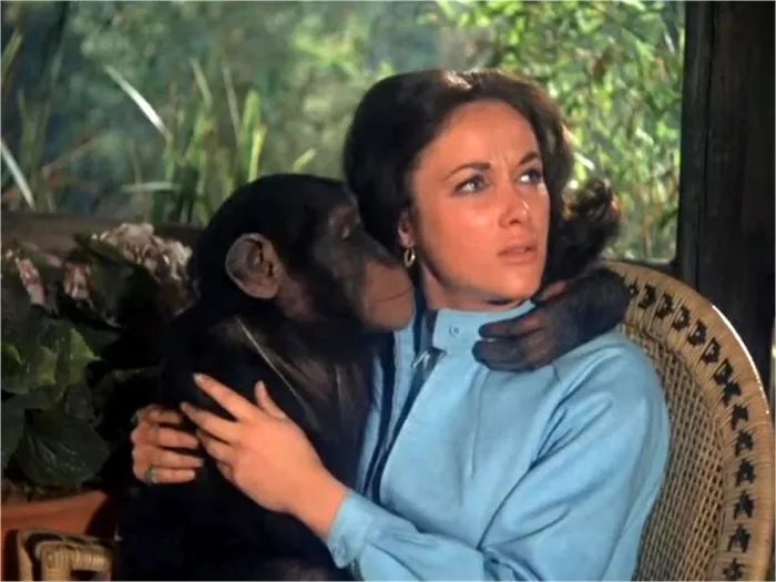 Gloria Manon, Judy the Chimpanzee (Judy) zdroj: imdb.com
