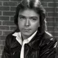 David Cassidy - Man Undercover 1978 (1978-1979) - Officer Dan Shay