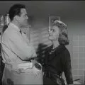 The Donna Reed Show (1958) - Dr. Alex Stone
