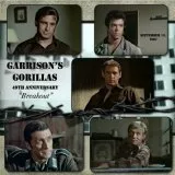 Garrison's Gorillas (1967-1968) - Lt. Craig Garrison