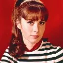 The Girl from U.N.C.L.E. 1966 (1966-1967) - April Dancer