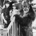 Harry and the Hendersons (1991) - Sara Henderson