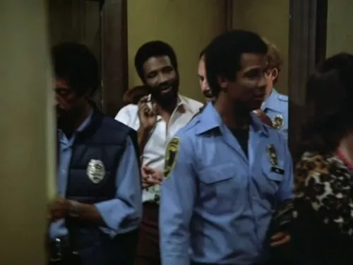 Taurean Blacque (Det. Neal Washington), Michael Warren (Officer Bobby Hill) zdroj: imdb.com