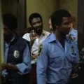 Poldové z Hill Street 1981 (1981-1987) - Officer Bobby Hill
