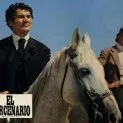 Il mercenario (1968) - Ricciolo - 'Curly'