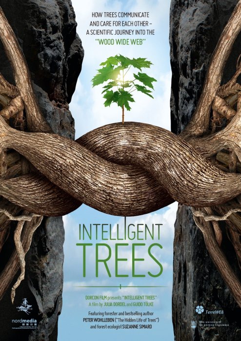 Inteligentné stromy (2016) - Self