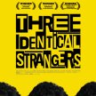 Three Identical Strangers (2018) - Himself