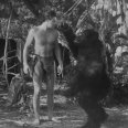 Tarzan a jeho družka (1934) - Tarzan