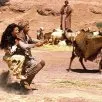 Šeherezáda (1990) - Aladin