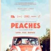 Mr. Emmett & The Canned Peaches
									(pracovní název) (2017)